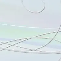 新緞帳が宝塚に