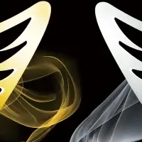 ANGEL CHAMPAGNE新作