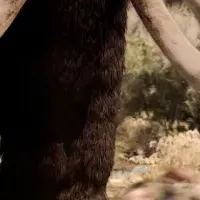 新作塊魂発売！