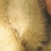 PRANK PROJECT横浜店