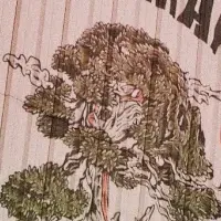 CENSU TOKYO イベント