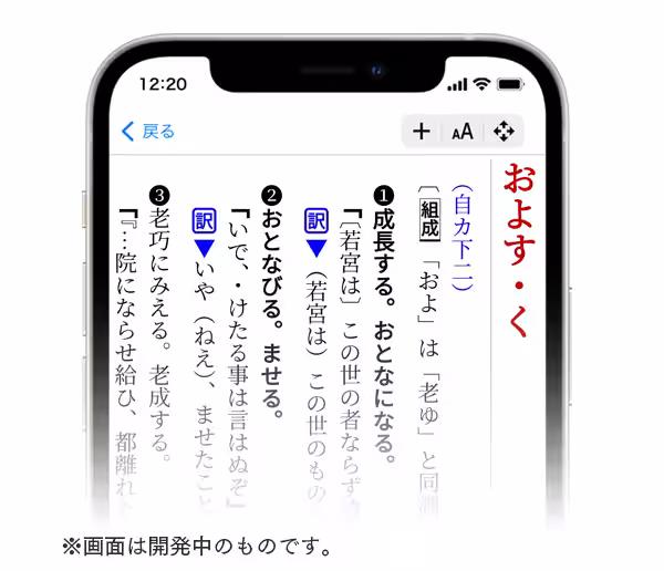 画像7