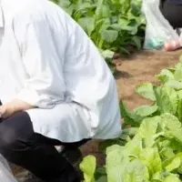 多摩の魅力発見