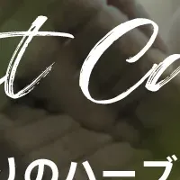 ハーバルティーの魅力