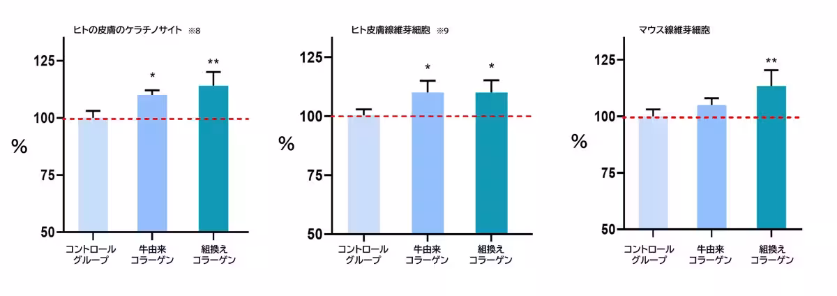 画像14