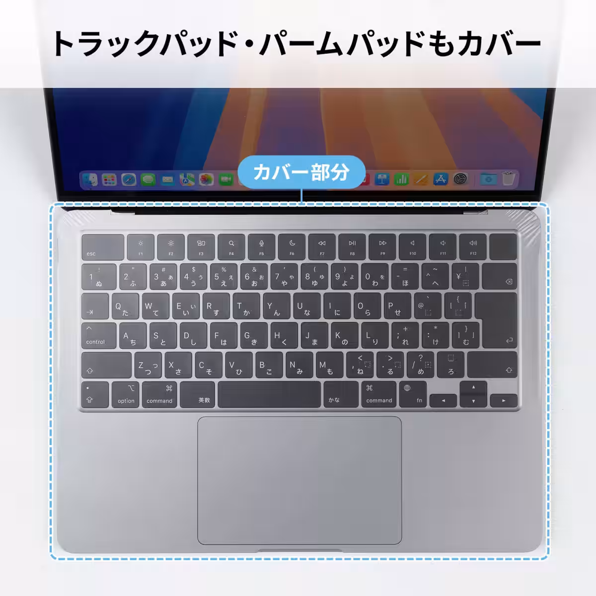 画像8