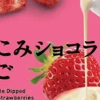 ファミマルPREMIUMリニューアル