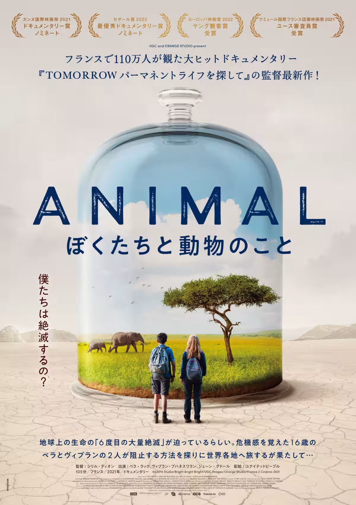画像6