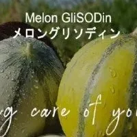 メロングリソディン公開