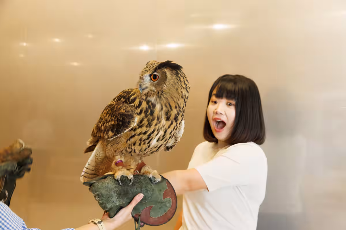 画像11