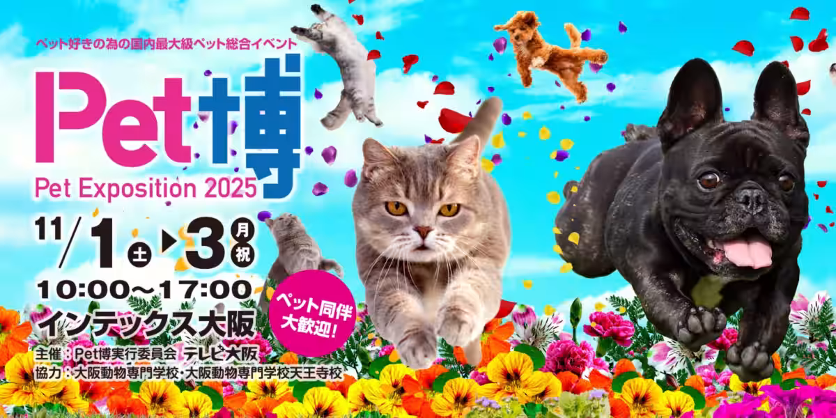 画像11