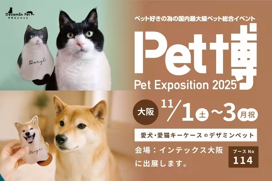 画像12