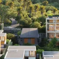 展覧会COLLECTION 2025