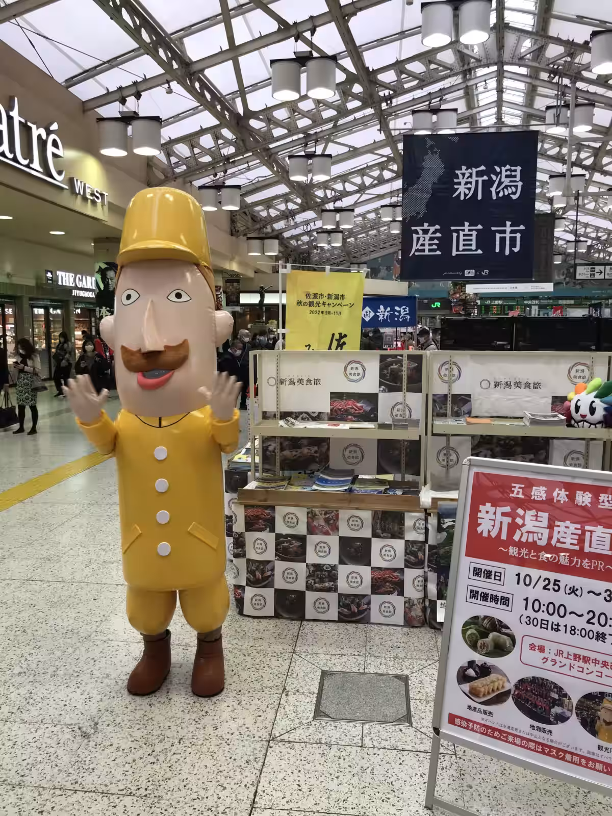 画像7