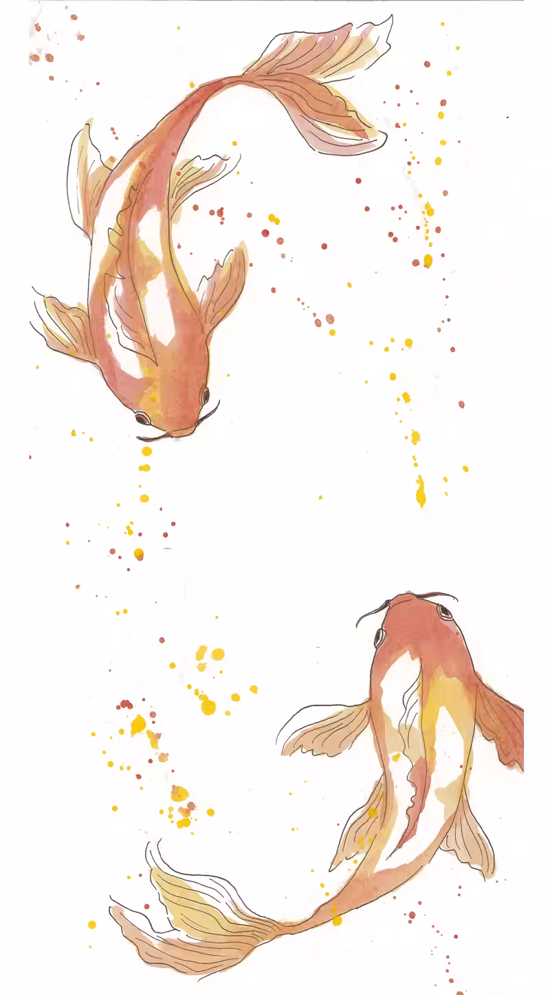 画像15