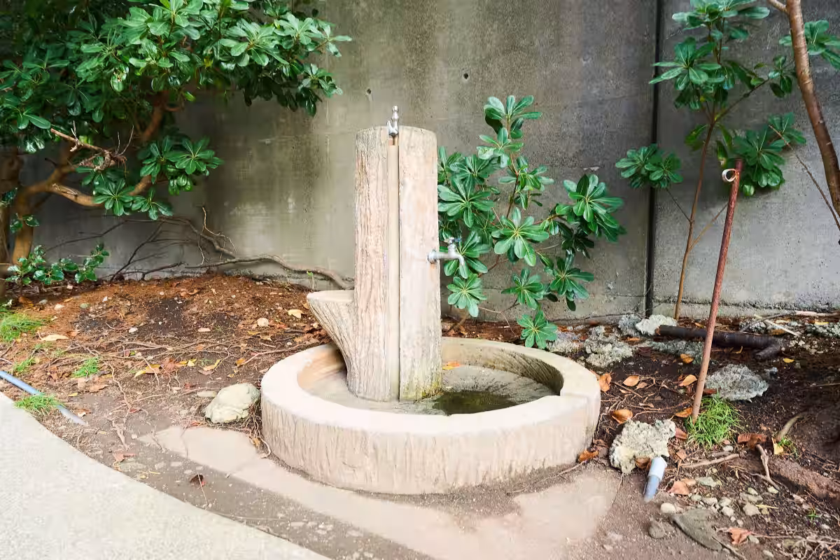 画像16