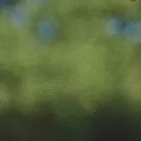 橋本愛の最後の写真集