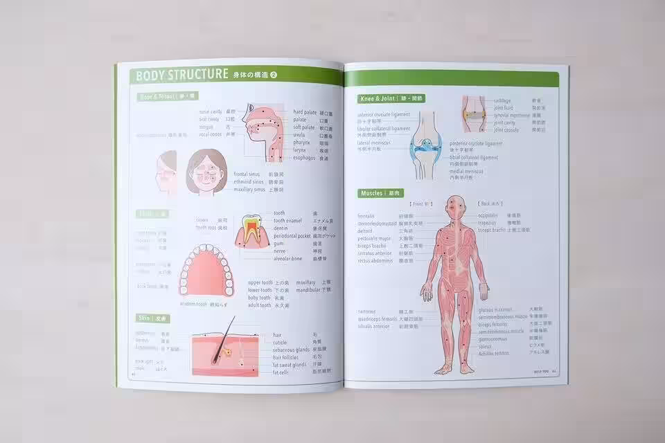 画像10