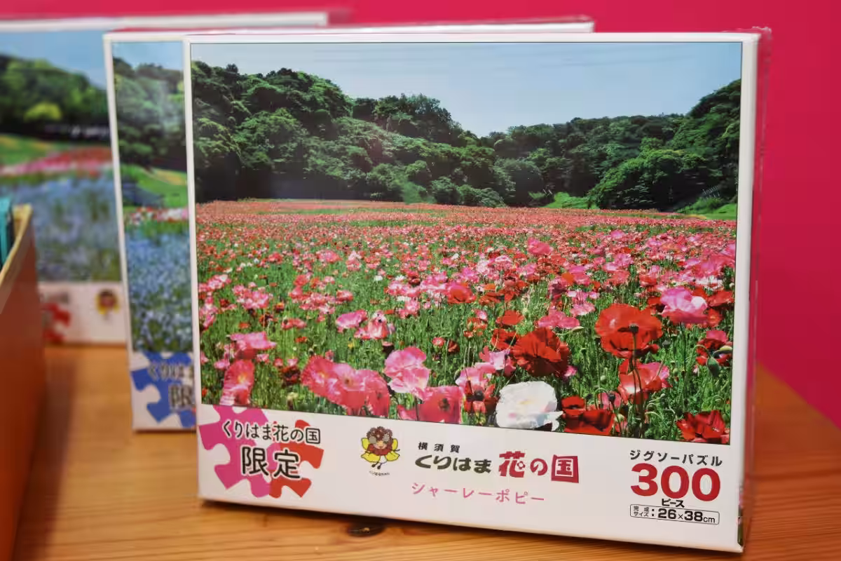 画像19