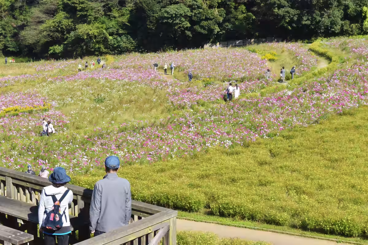 画像17