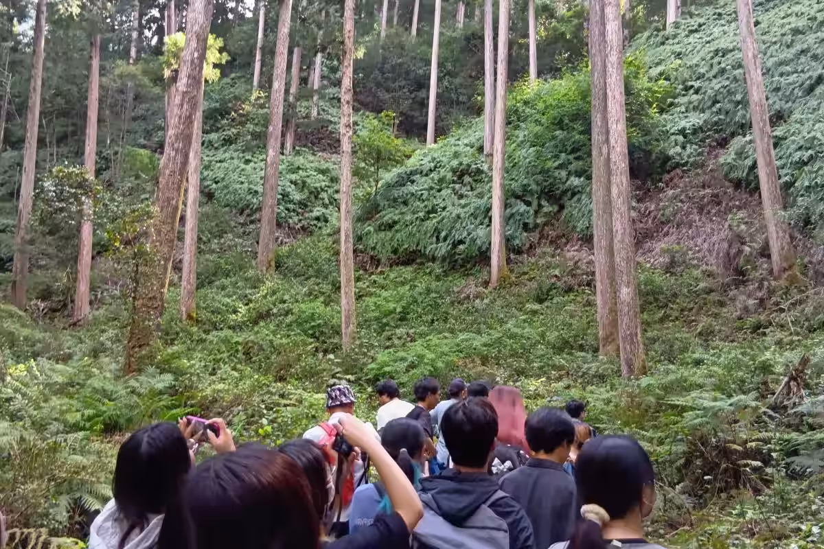 画像5