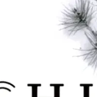 「ITOGUCHI」の提供開始