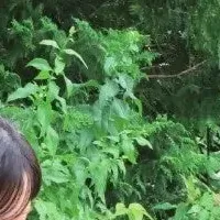 女の子のひとり旅特集