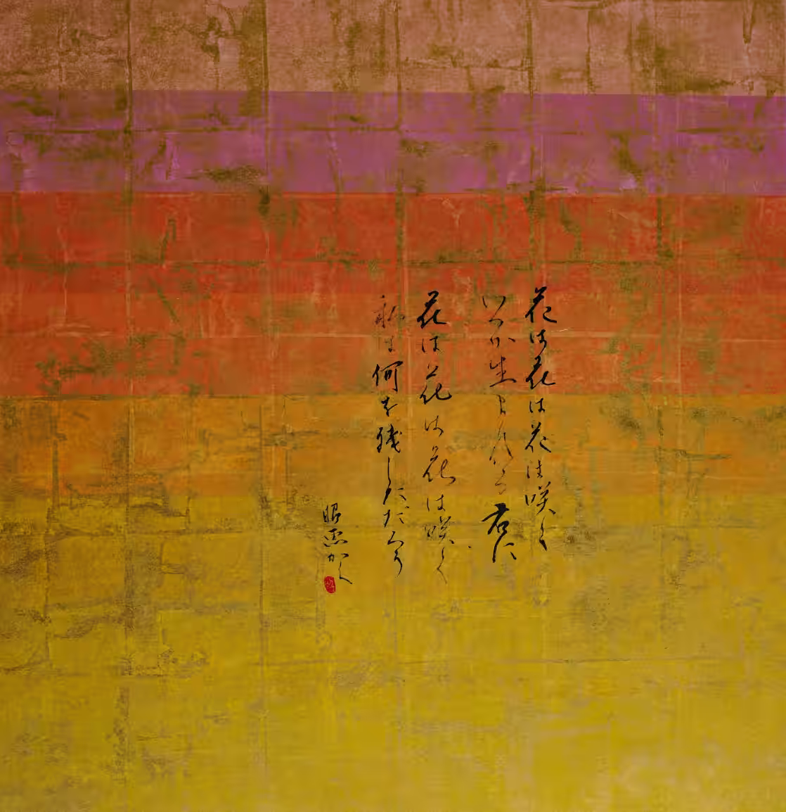 画像14