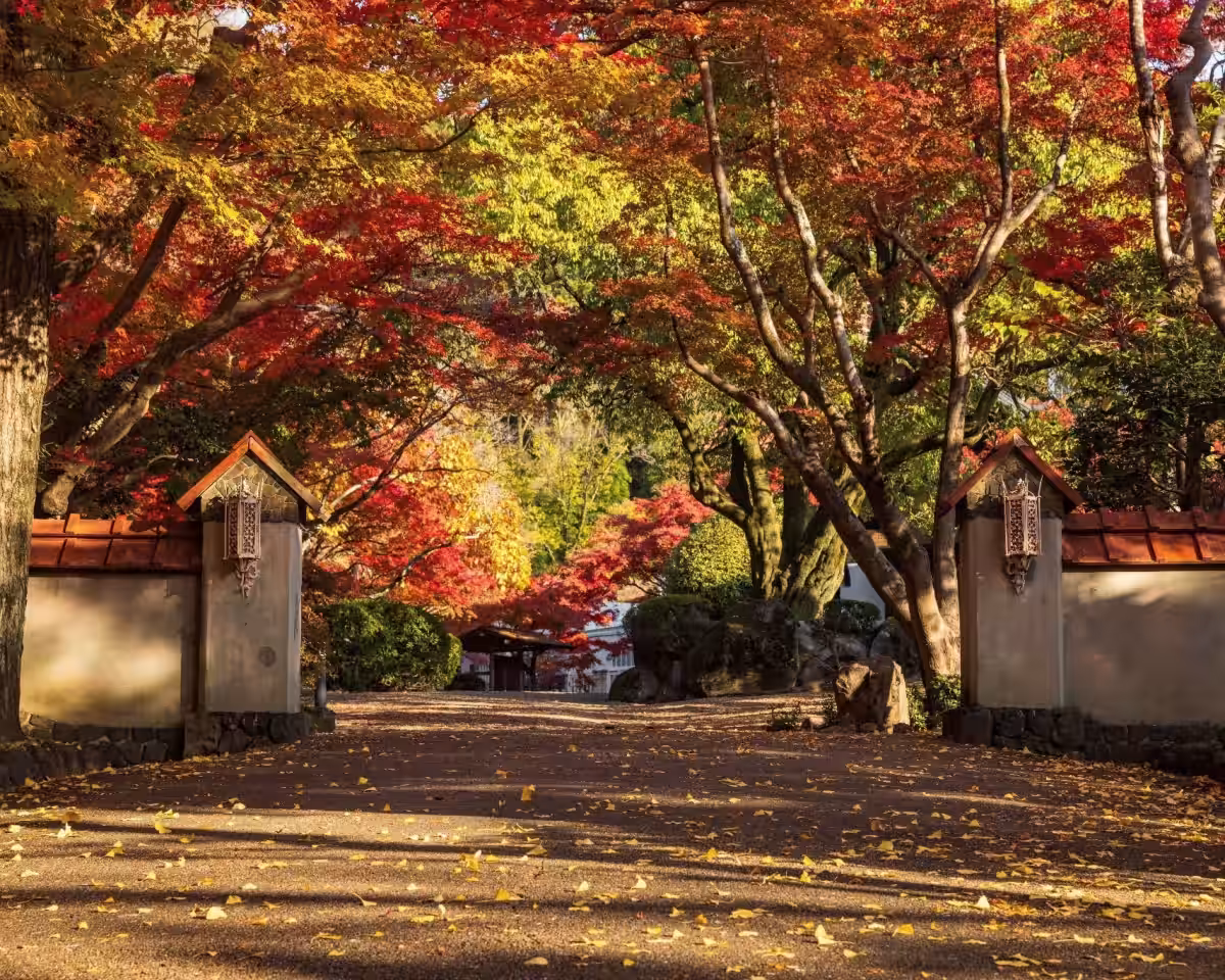 画像12