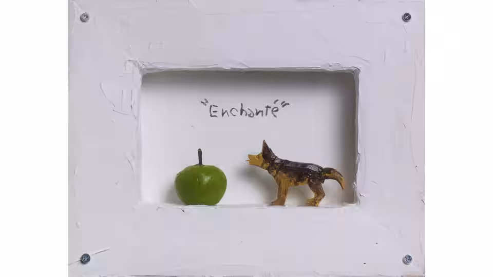 画像13