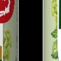 旬の国産ホップビール登場