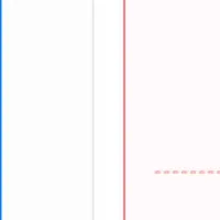 障害年金の複雑さ