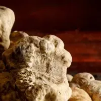 白トリュフの焼肉コース