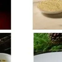 東京エディションのフェスティブ