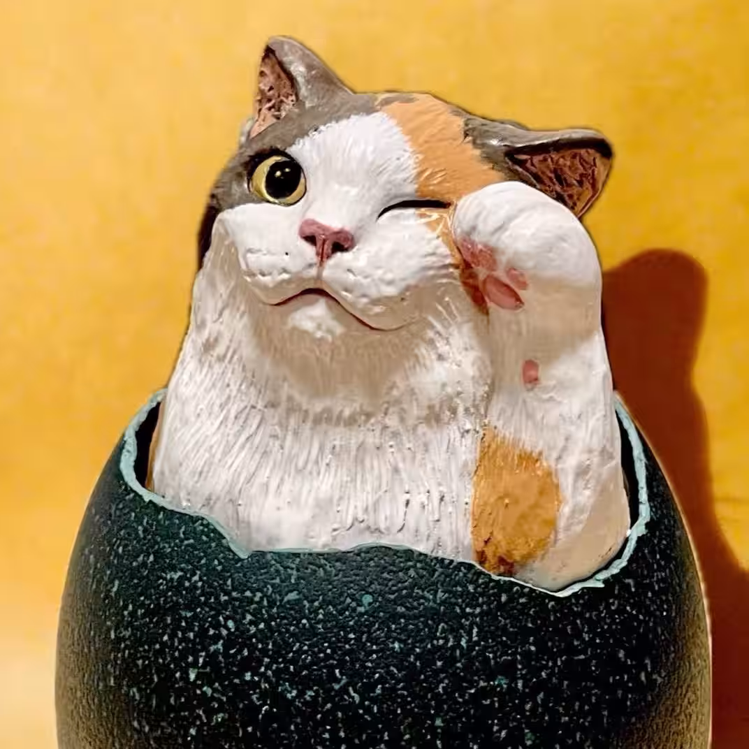画像17