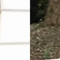 ママの声を活かす