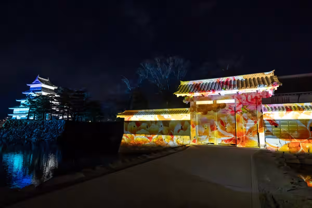 画像15