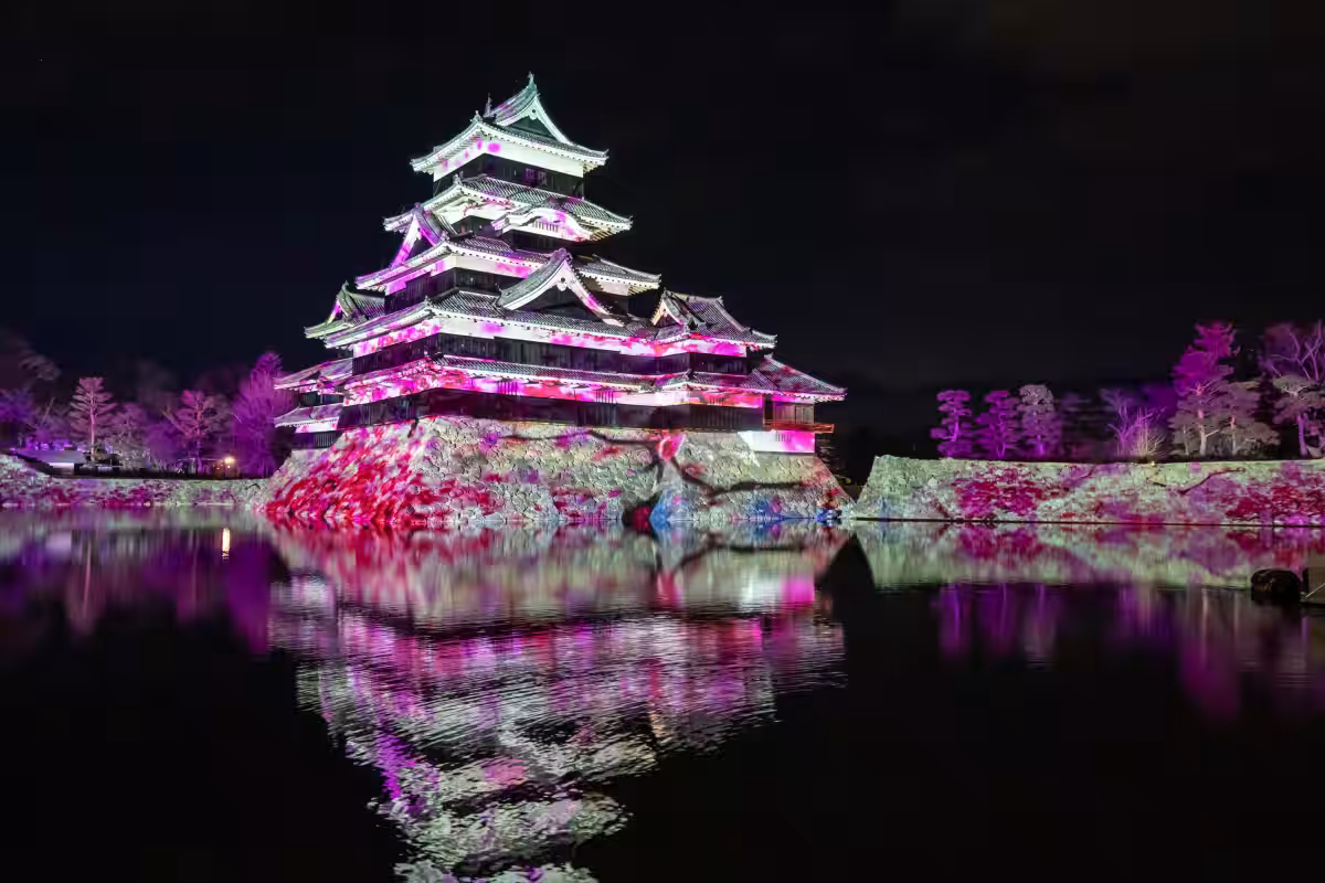 画像11