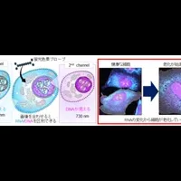 細胞イメージング革新
