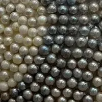 WSPアートコンテスト