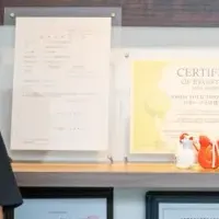 DX実現の新たな試み