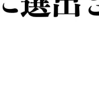 未活用労働力資産