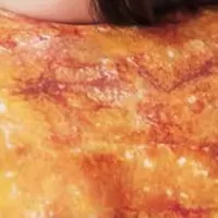 ちくわクッションBOOK