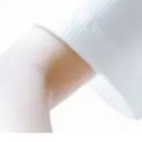 犬と出社する新制度