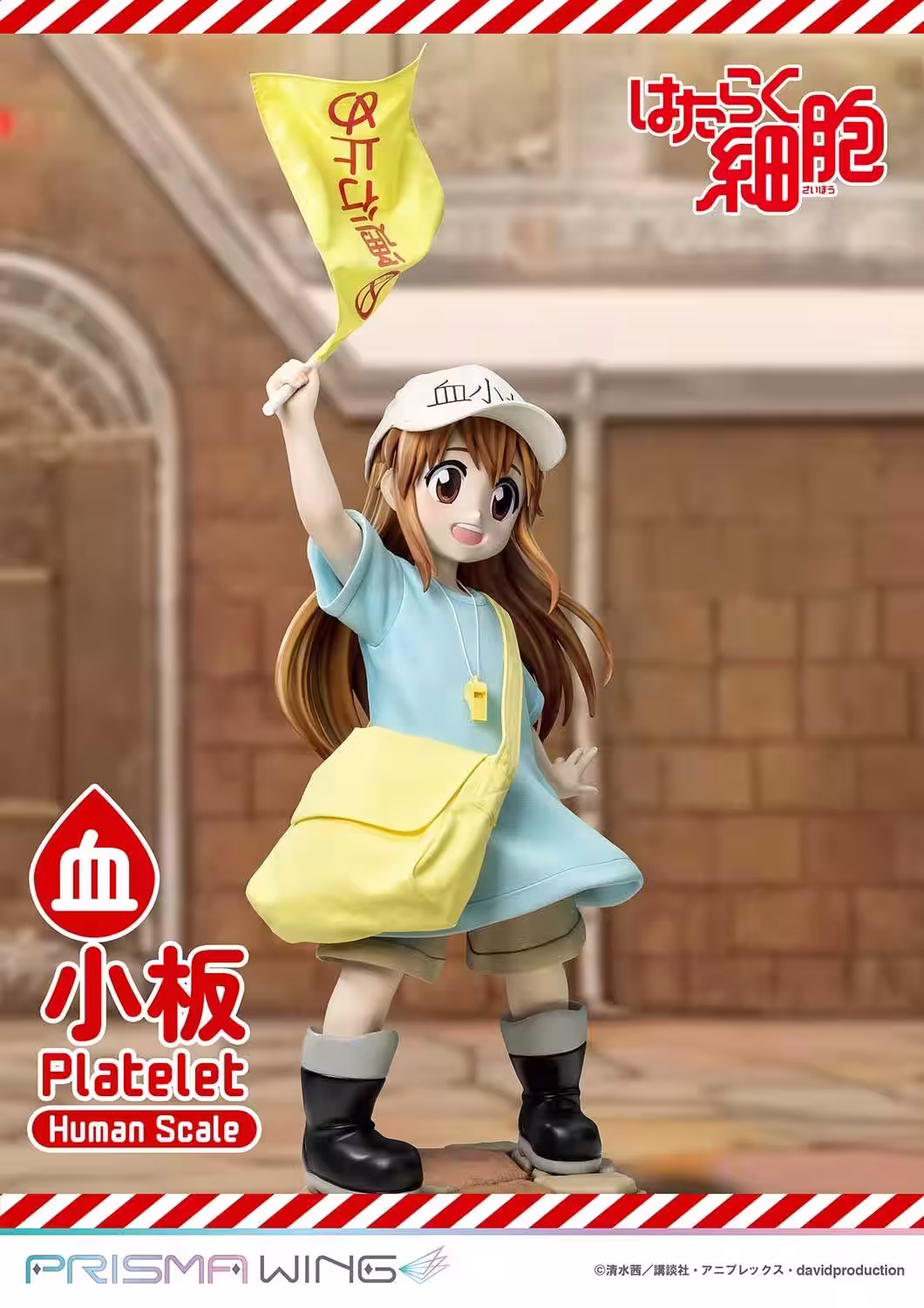 画像5