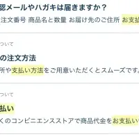 新料金プラン発表