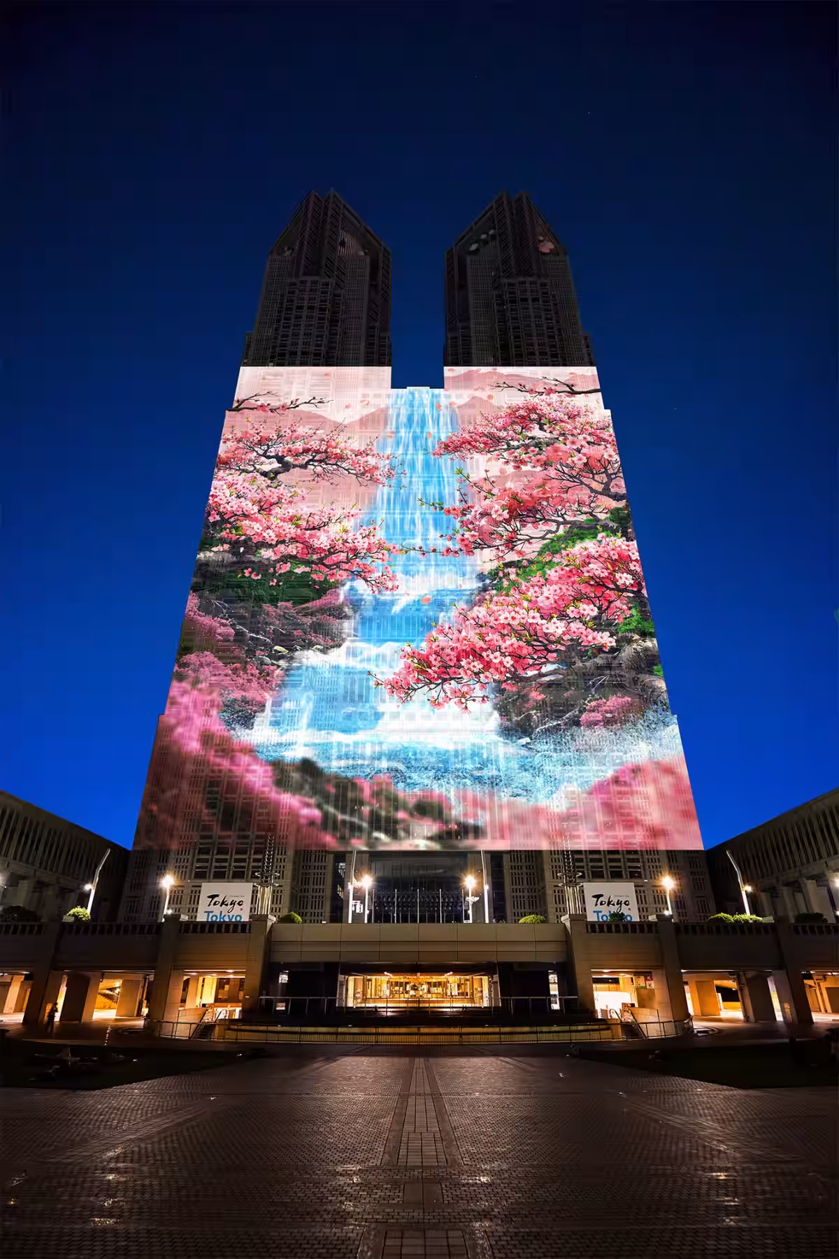 画像11