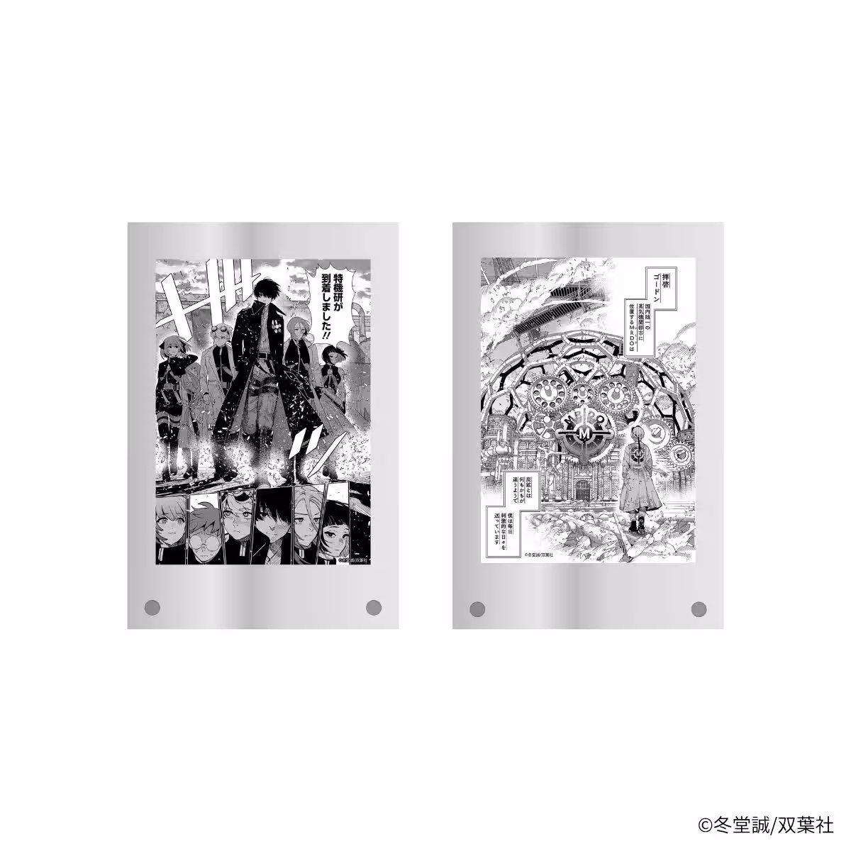 画像5