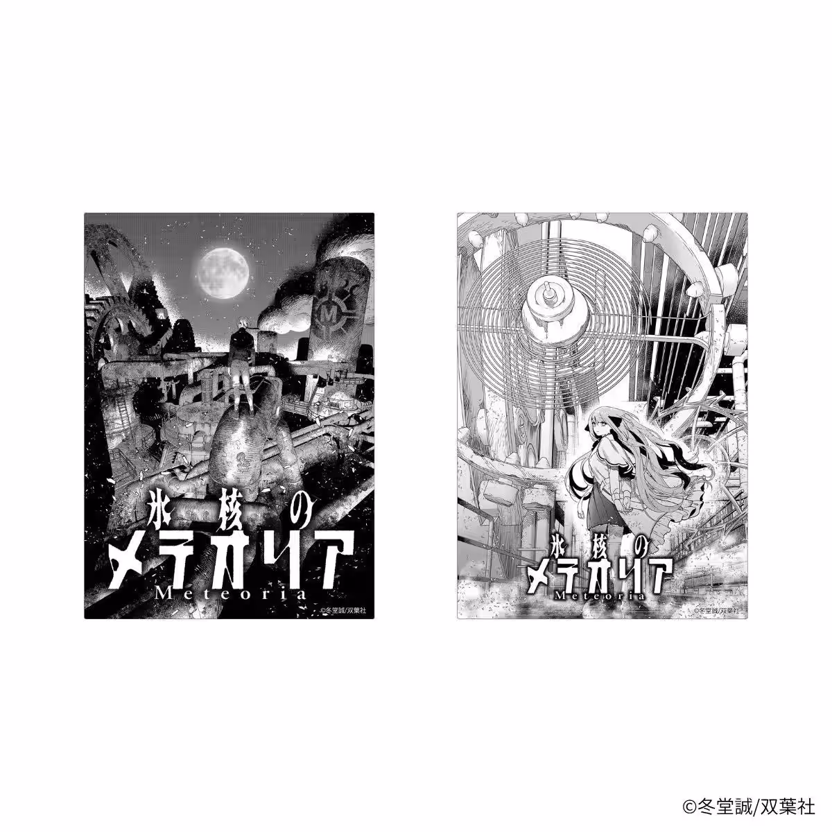 画像8