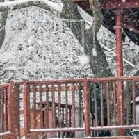 六甲山の冬景色